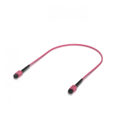 Ubiquiti OM4 MPO-12 UPC Fiber Patch Cable - UACC-OFC-MA-MPMP-0.5M-10 - 10-Pack