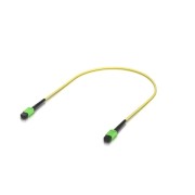 Ubiquiti UACC-OFC-SA-MPMP-0.5M-10 OS2 MPO-12 APC Fiber Patch Cable